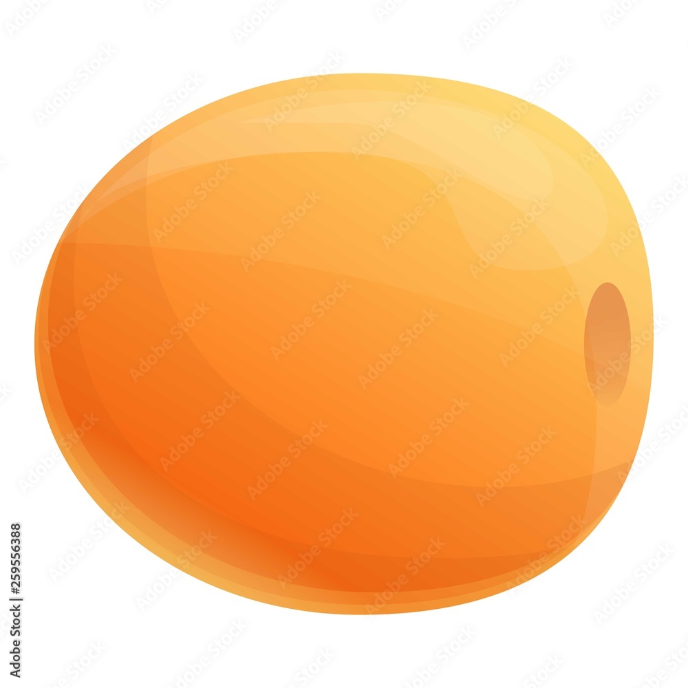 Fresh eco apricot icon. Cartoon of fresh eco apricot vector icon for web design isolated on white background Fresh eco apricot icon. Cartoon of fresh eco apricot vector icon for web design isolated on white background