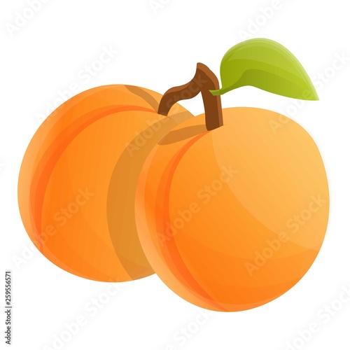 Two whole apricot icon. Cartoon of two whole apricot vector icon for web design isolated on white background