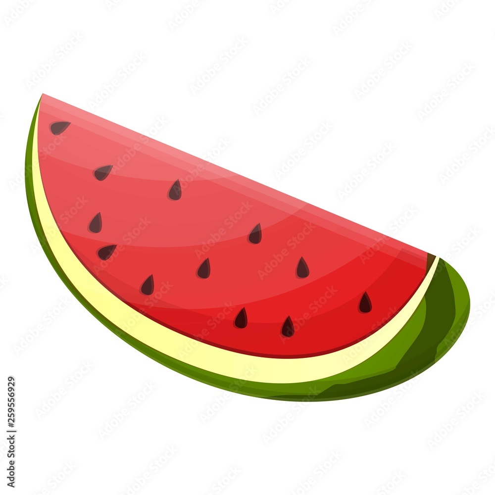 Whole watermelon slice icon. Cartoon of whole watermelon slice vector icon for web design isolated on white background Whole watermelon slice icon. Cartoon of whole watermelon slice vector icon for web design isolated on white background
