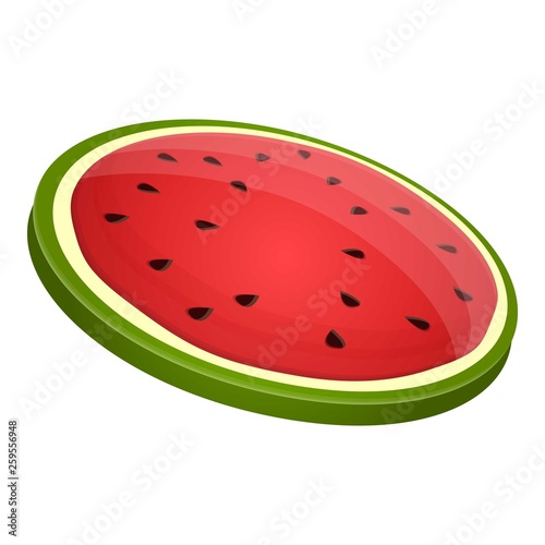 Round watermelon slice icon. Cartoon of round watermelon slice vector icon for web design isolated on white background