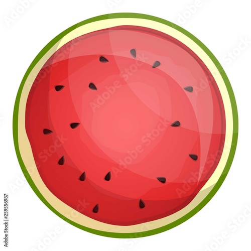 Top view cut watermelon icon. Cartoon of top view cut watermelon vector icon for web design isolated on white background