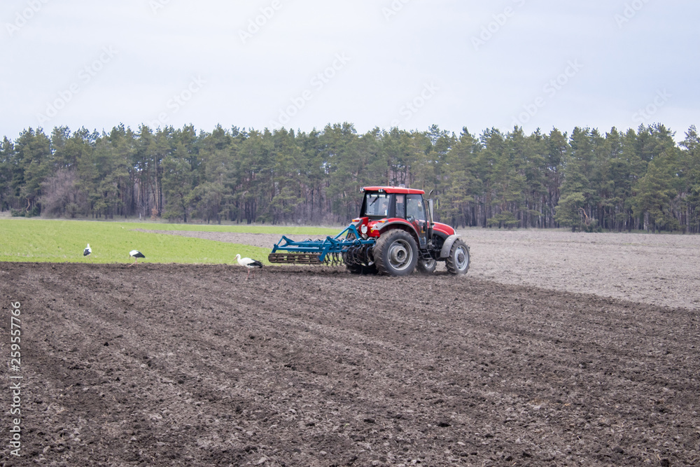 Obraz premium A farmer on a tractor prepares the land with a cultivator. Sowing on agricultural fields.