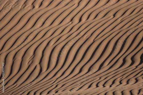 Dune of the Namib desert