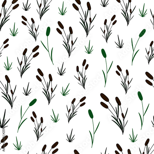 Fototapeta Naklejka Na Ścianę i Meble -  Reeds on an white background. Seamless pattern.