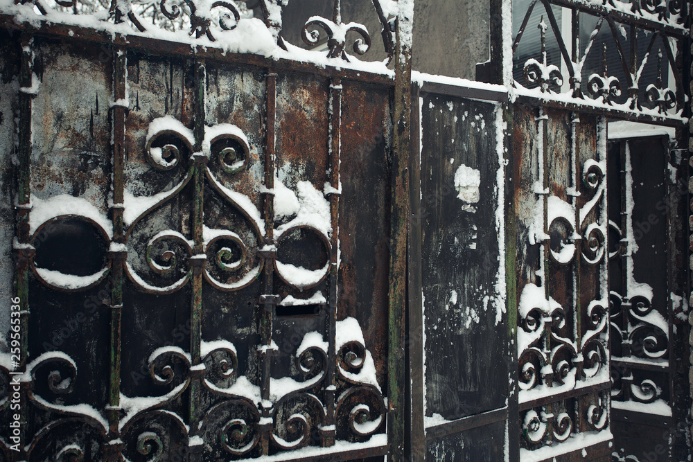 Old city walls in winter concept. Black rustic metal gates with peeled decoration elements with snow. Beautiful colours. Opened door. Beginning of twentieth century. Outdoor shot Old city walls in winter concept. Black rustic metal gates with peeled decoration elements with snow. Beautiful colours. Opened door. Beginning of twentieth century. Outdoor shot