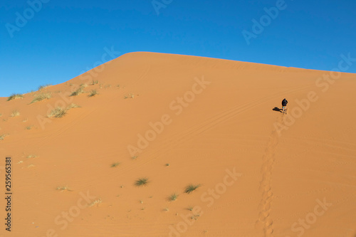 Corredor por el desierto y dunas de Marruecos y Merzouga