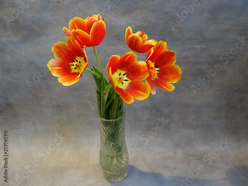 Orange tulips in a vase