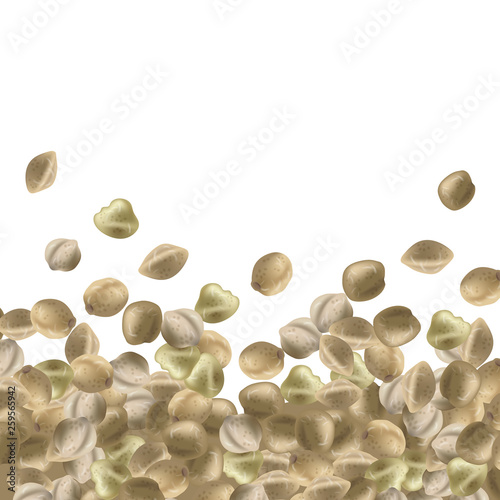 Background with hemp seeds. Marijuana bunch. Vector illustration.