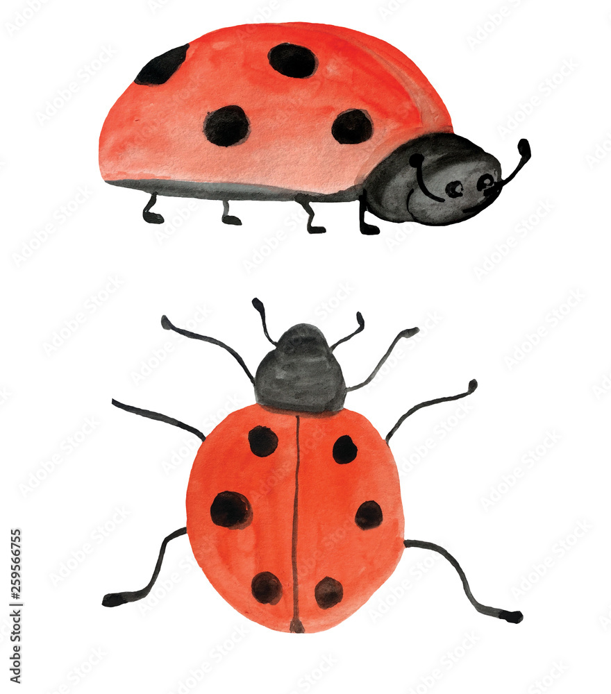 Fototapeta premium ladybugs on a white background. watercolor illustration for decoration and design of cards, posters, games and books.