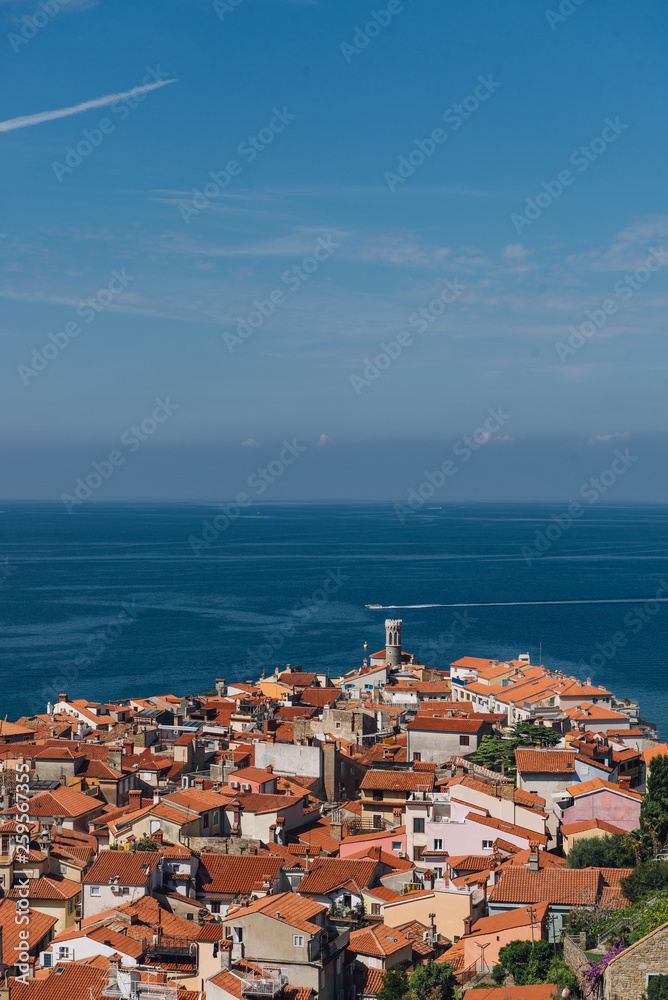 Town panorama with ocean