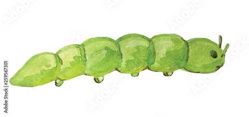 green caterpillar on a white background. watercolor illustration for decoration and design of cards, posters, games and books.