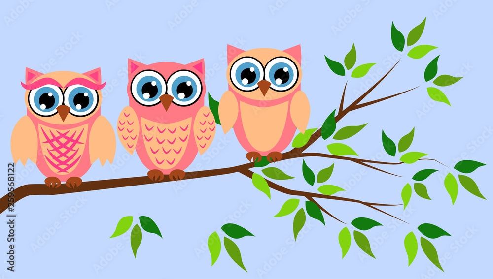 Obraz premium Cute girl owls. Baby showers, parties for baby girls.