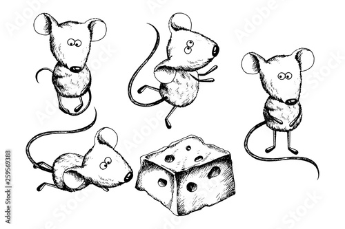 Cute little mouses and cheese sketch. Nice positive illustration, clip art, scrapbooking graphic on white background photo