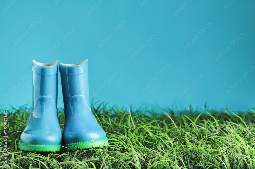 rain boots / wellies sitting 