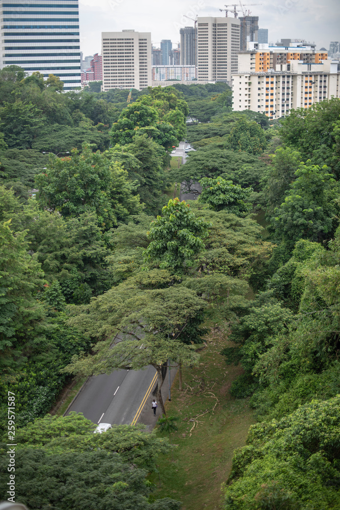 Singapore street view from southern ridges, seeing trees, trees and ...