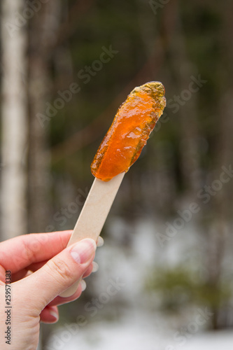 Making maple candy on snow in a maple sugar camp in New Brunswick