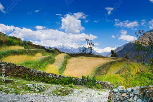 Rice field with beautiful nature scenic landscape view at annapurna circuit mountains,Popular trekking trails in Nepal