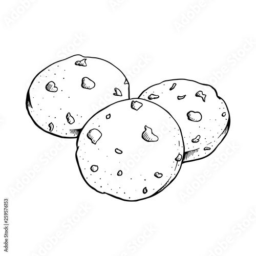 chocolate cookies vector illustration. cookie line drawing.