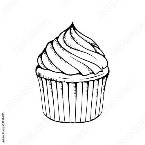cupcake vector illustration. cupcake line drawing.