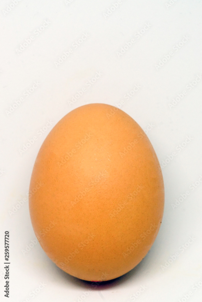 Chicken Egg on white isolated background close up view Chicken Egg on white isolated background close up view