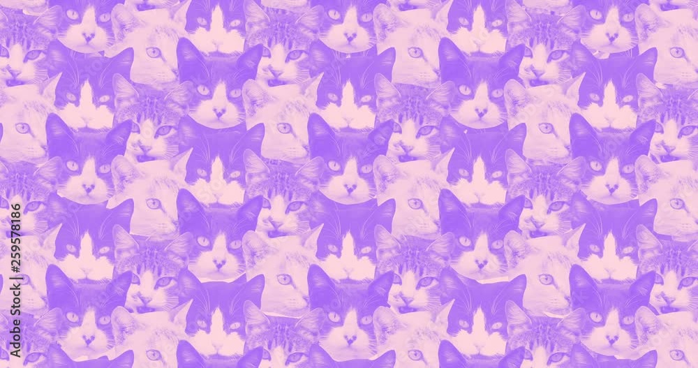 Minimal animation gif art. Cat faces seamless animation pattern Minimal animation gif art. Cat faces seamless animation pattern