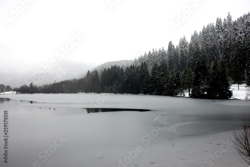 le lac de xonrupt longemer avec sa chapelle sous la neige photo