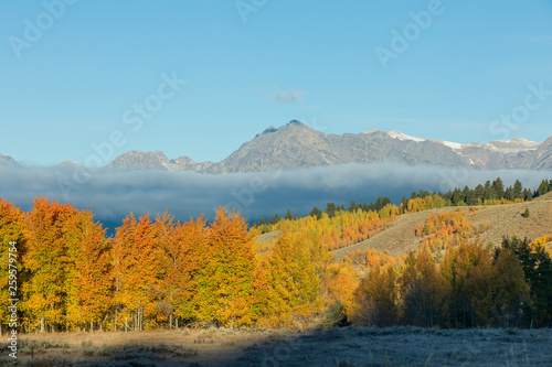 Scenic Autumn Landscape in the Tetons
