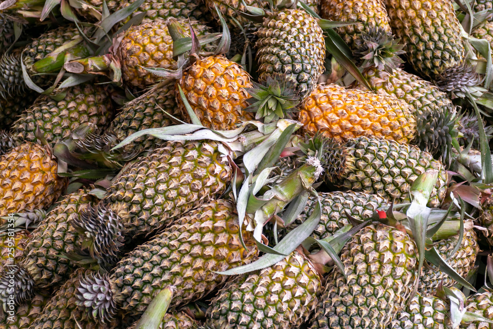 Fototapeta premium Fresh pineapples stacked for sell in the fruit market