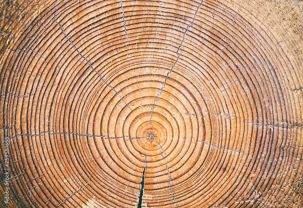 Wood cut background Wood cut background