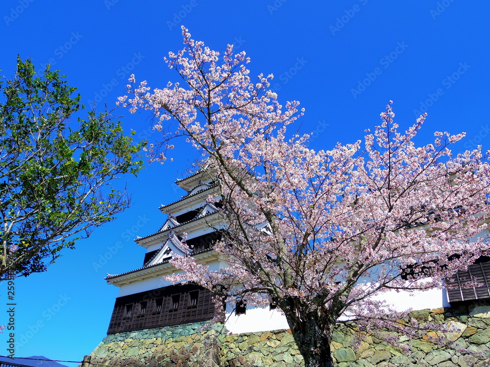 大洲城の桜