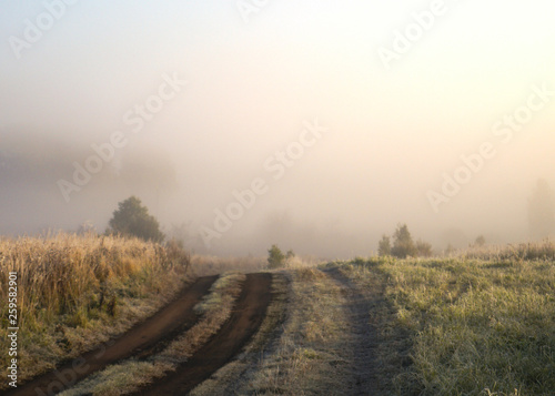 road to autumn fog