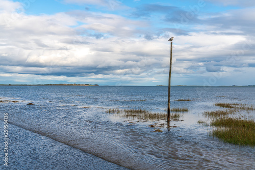 View from the flooded Road between Beal and the Holy Island of Lindisfarne in Northumberland, England, UK © Bernd Brueggemann