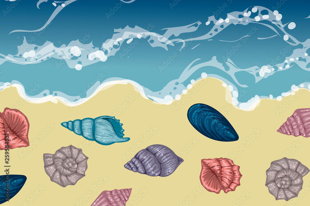 Sea, beach, waterline with different shells, vector