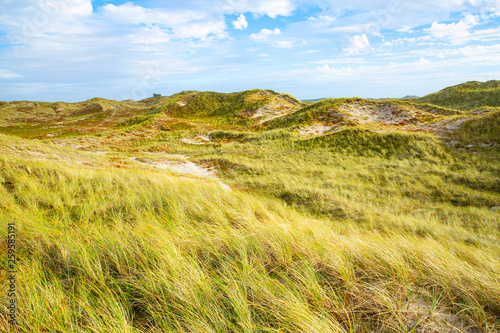 Foto Scenic North Sea coast in northern Jutland, Denmark