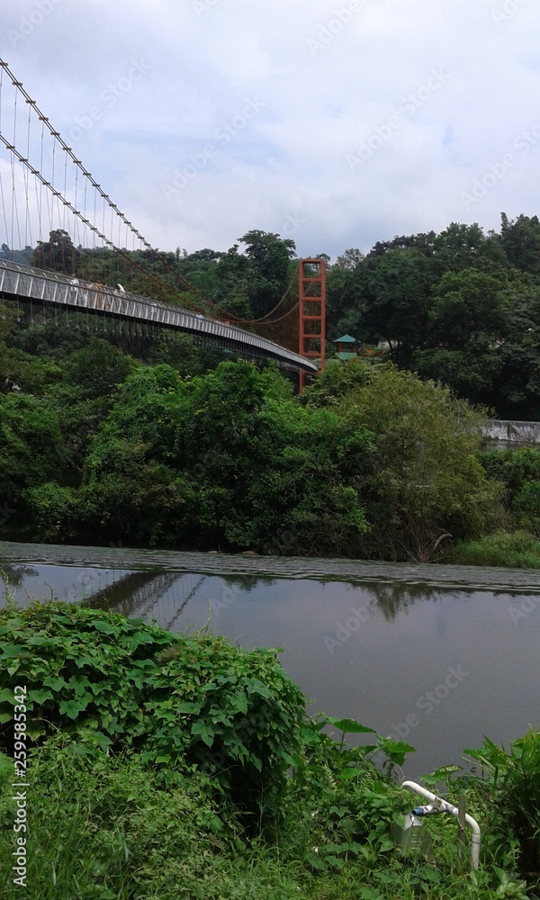 bridge over the river