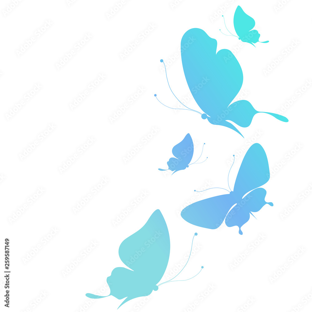 beautiful blue butterflies, isolated  on a white