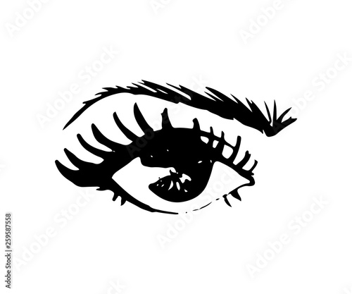Illustration of hand-drawn woman's eye with shaped eyebrows and full lashes.