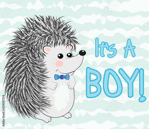 Baby Shower greeting card with Cute hedgehog boy