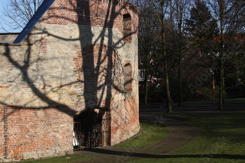 Zwinger