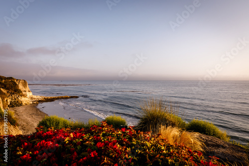Pismo Beach 