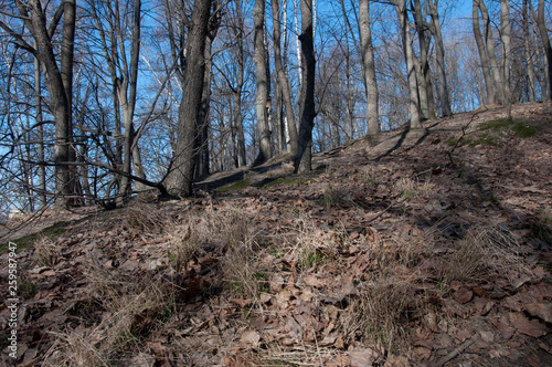 Moscow, nature, Gorky Park