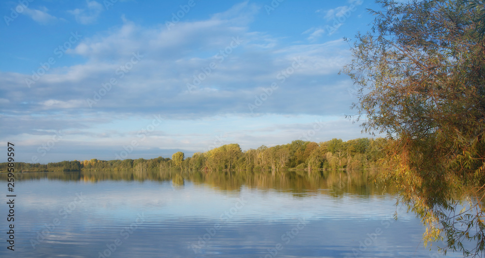 am Hinsbecker Bruch in den Krickenbecker Seen,Schwalm-Nette,Niederrhein,NRW,Deutschland am Hinsbecker Bruch in den Krickenbecker Seen,Schwalm-Nette,Niederrhein,NRW,Deutschland