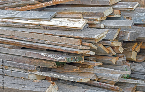 Pile of wood logs © AVD