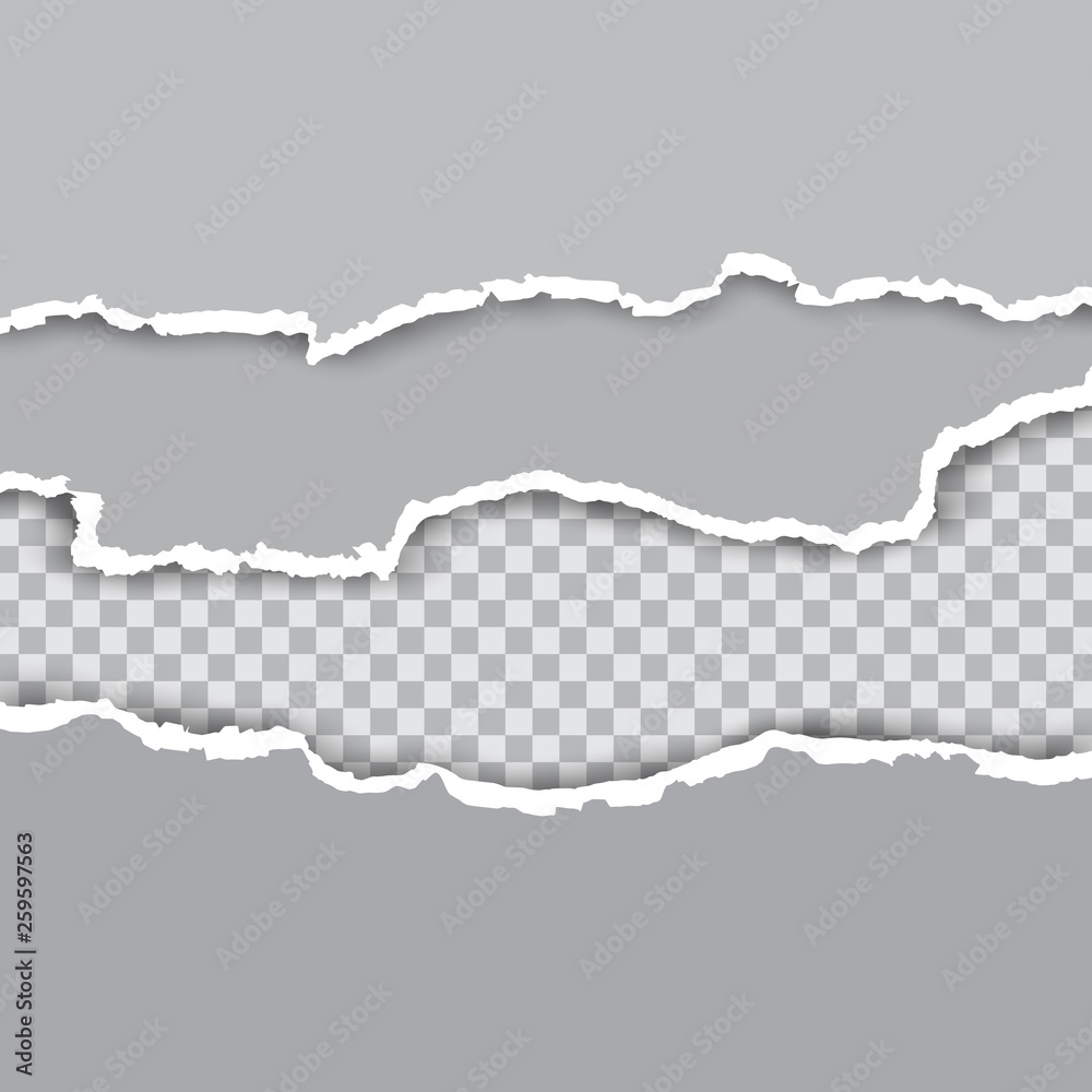 Squared ripped horizontal paper strips for text or message on white vector background