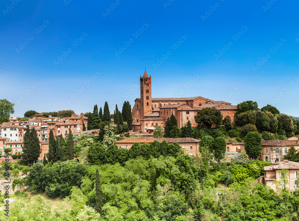 View of the historic centre of Siena with the Church of Santa Maria dei Servi, Tuscany, Italy