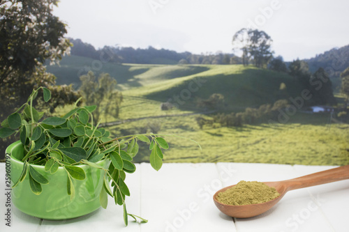 Moringa Leaves- Moringa Oleifera
