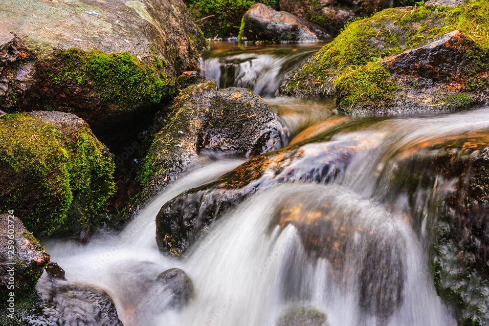 High Mountain Stream in the Laramie Mountains of Colorado. High Mountain Stream in the Laramie Mountains of Colorado.