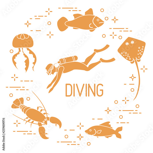 Diver, jellyfish, lobster, stingray, fish.