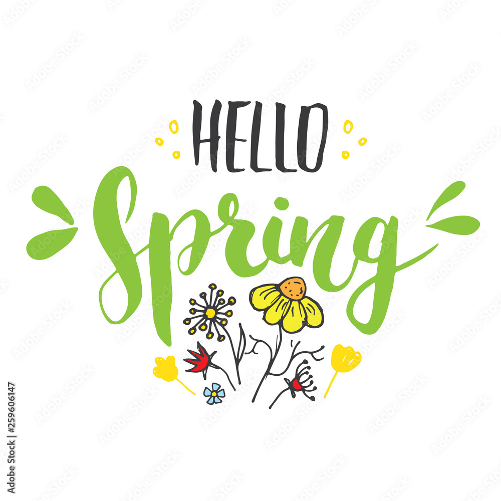 Fototapeta premium Hello Spring Calligraphy lettering handwritten sign, Hand drawn grunge calligraphic text. Vector illustration