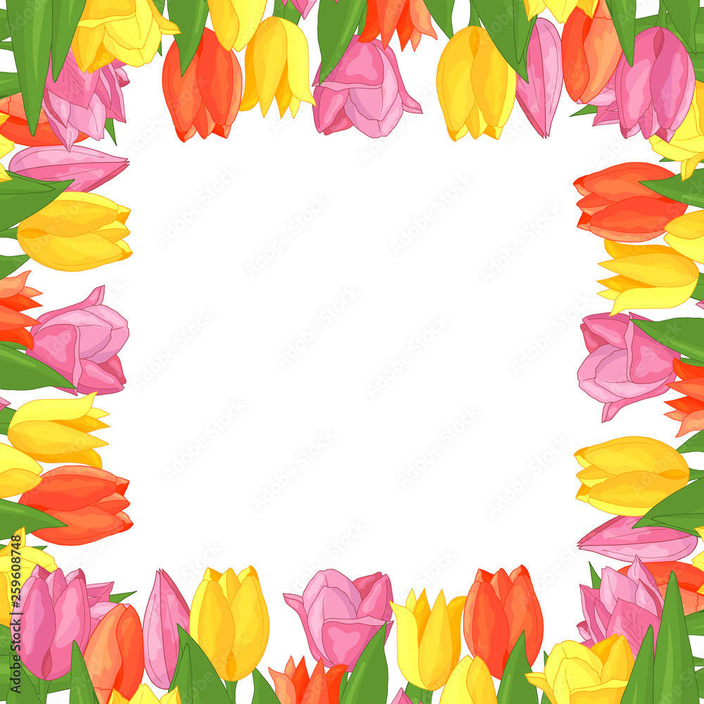 Frame of colorful tulips Frame of colorful tulips